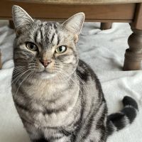 チャーリン 会員画像