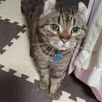 りんるな 会員画像