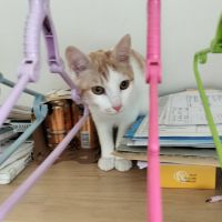 すずさる 会員画像