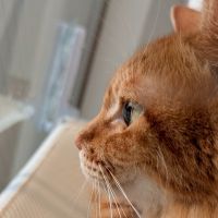 みいさにさん