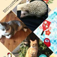 かしら 会員画像