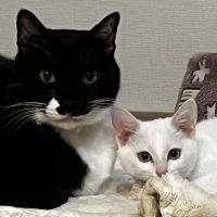 すっちょんさん