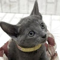 もくもく3さん