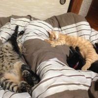 Yuki8259 会員画像