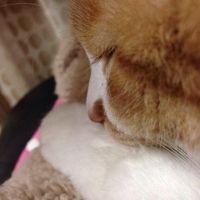 かずきちTA 会員画像