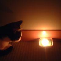 みいみん 会員画像