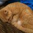 ユーザ画像