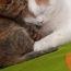 ユーザ画像