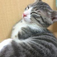 ゆりたか 会員画像