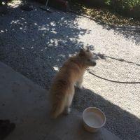 みってぃ 会員画像