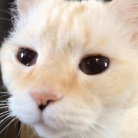 会員画像