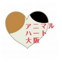 椿 アニマルハート大阪 会員画像