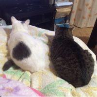 会員画像
