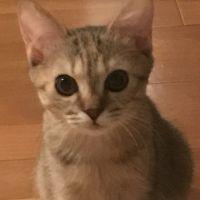 juni 会員画像