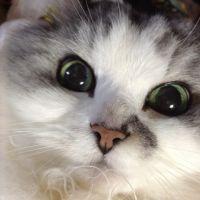 みるく姫 会員画像