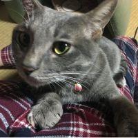 あきたろーさん