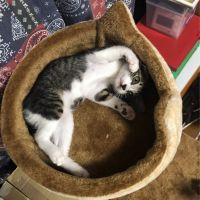 会員画像