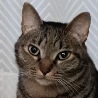 ひわだ 会員画像