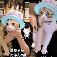 会員画像