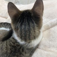 まつざわちなつ 会員画像