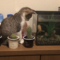 会員画像