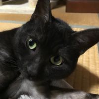 くぅたのぱぱさん