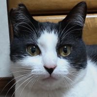 makkey66 会員画像