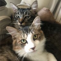 りわこ 会員画像