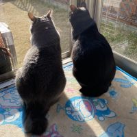 ヒメ55 会員画像