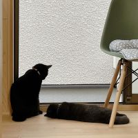 ころね0131 会員画像