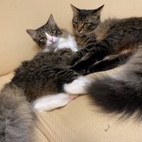 あや.さん