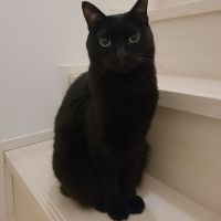 香ちゃん0310 会員画像