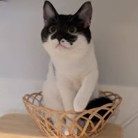 きのこ06 会員画像