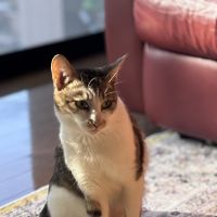 jiji0317さん