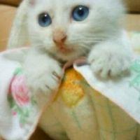 サッチャン 会員画像