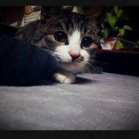 ツチノ子 会員画像