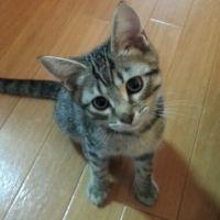 由依 会員画像