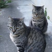 もすびいさん