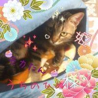 会員画像