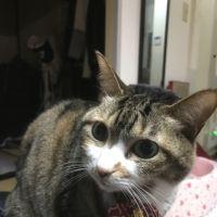たけだ 会員画像