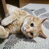 会員画像