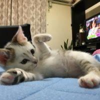 会員画像