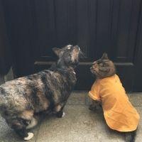 エルゴン 会員画像