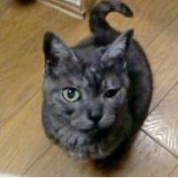 釣狂亭豆造 会員画像