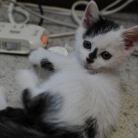 会員画像