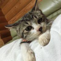 はる姐さん 会員画像