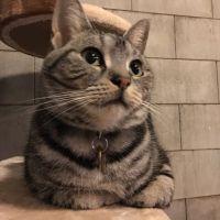 miumiu1991 会員画像