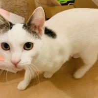 テミンちゃん 会員画像