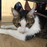 まいまいぺろぺろ 会員画像