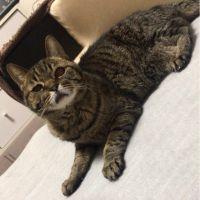 ぴぃ0209 会員画像